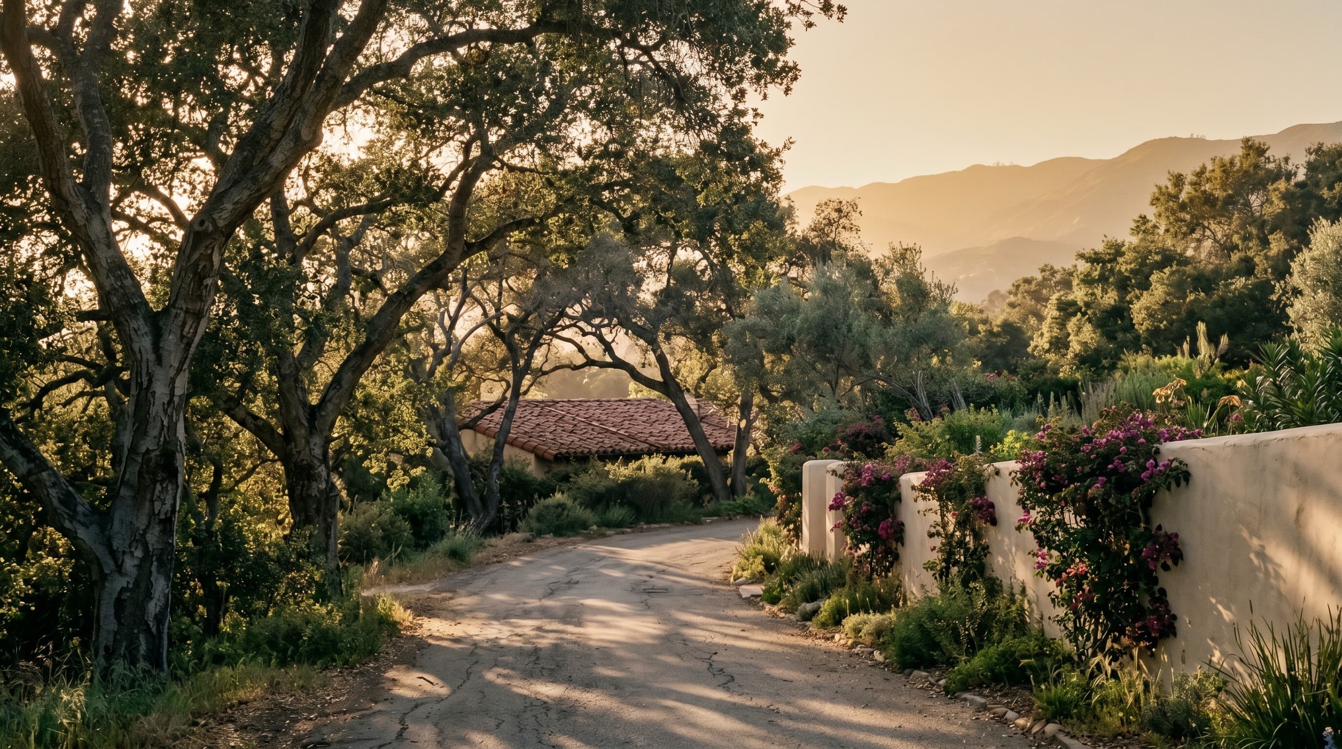 Central Coast — Our home ground — Montecito to Ojai, oak canopy to vineyard light.