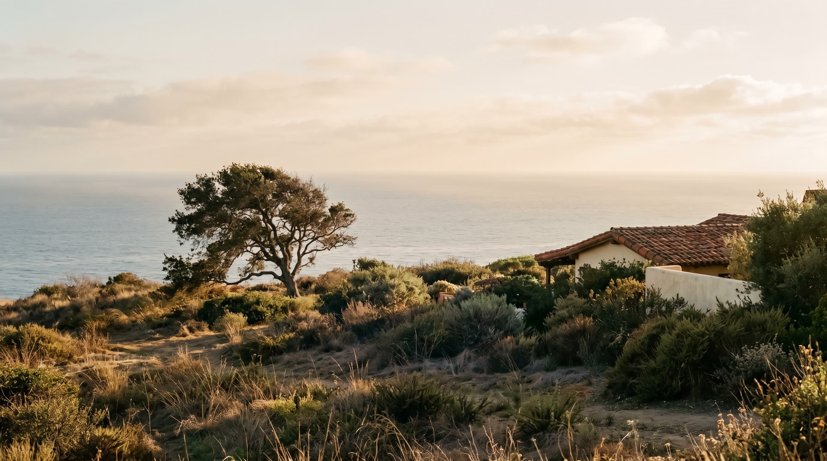 Next market — Los Angeles Westside