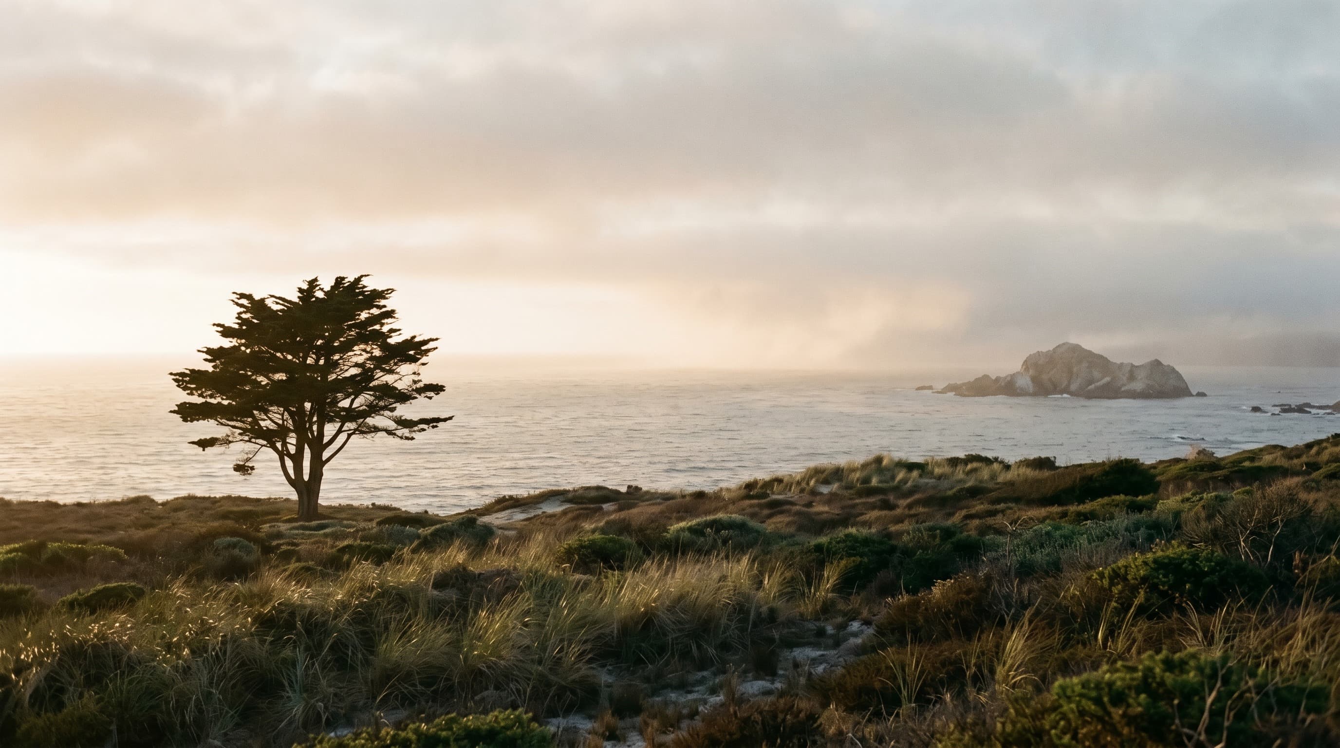 Monterey Peninsula — Cerro Studio luxury design market